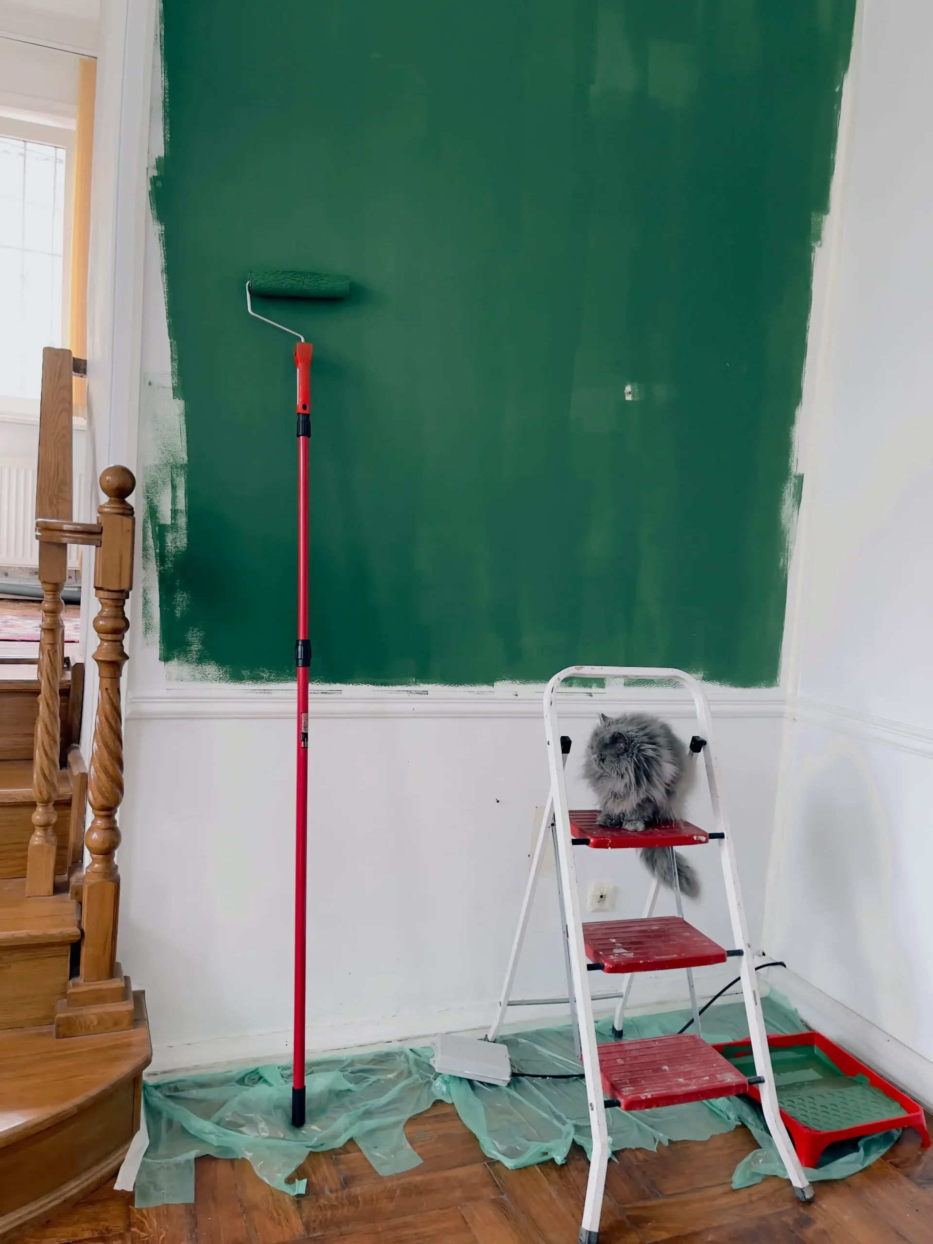 Whole-home painting repaint in Staten Island by Milan Design Construction